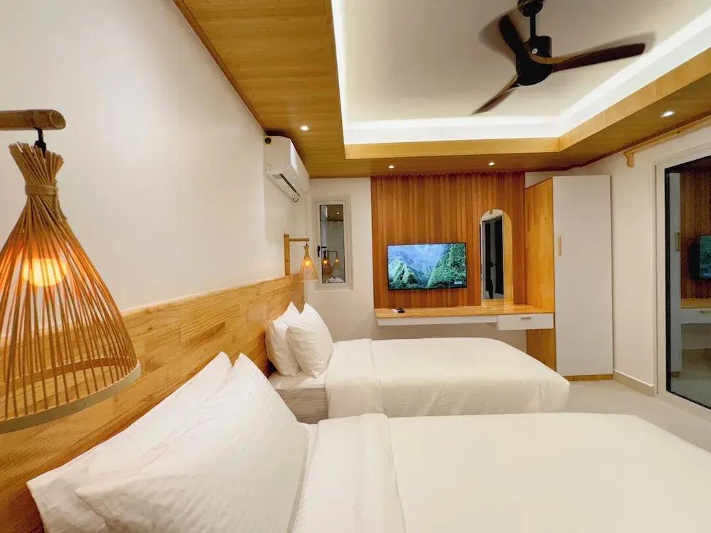 Pavona Maldives