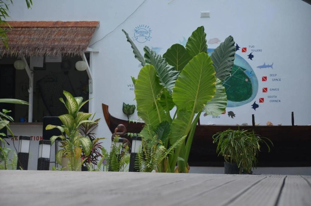 Dive Villa photo 3