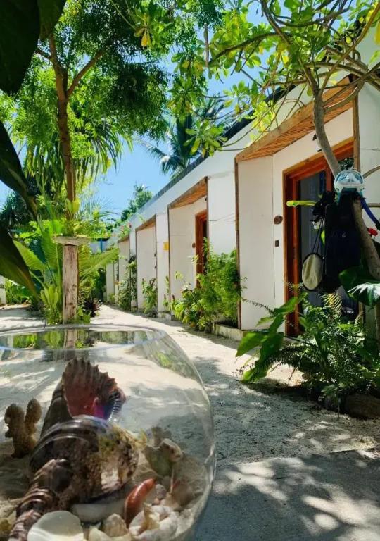Ithaa Thoddoo Inn`