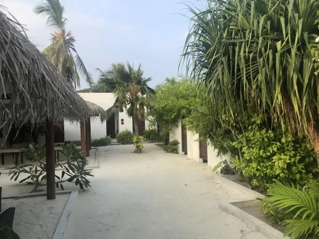Tropical Sands