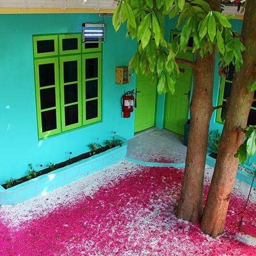 Ukulhas Beach Inn photo 3