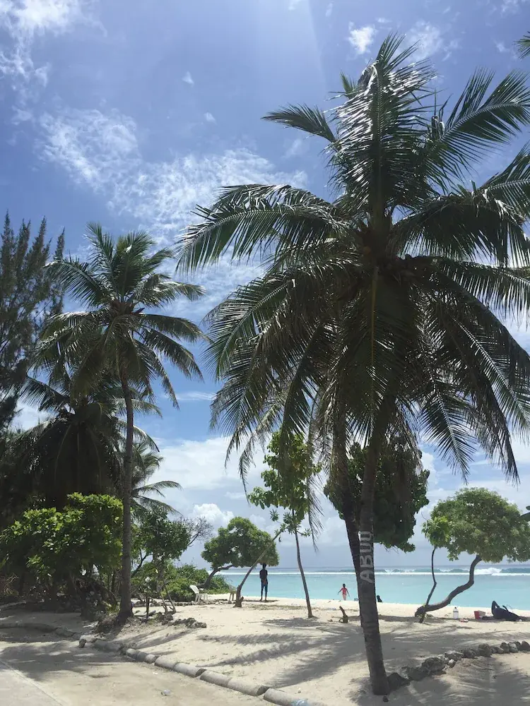Rivethi Beach Hotel photo 4