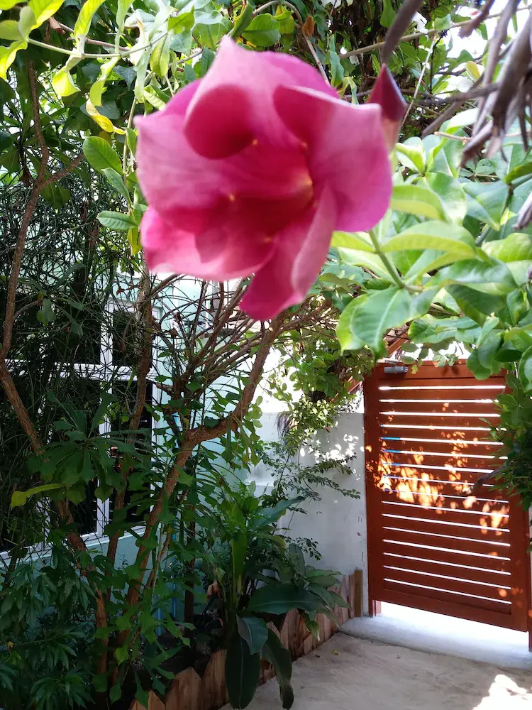 RAS RANA LODGE photo 3