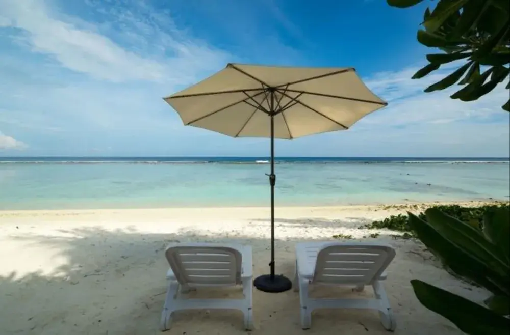 The White Harp Beach Hotel photo 4