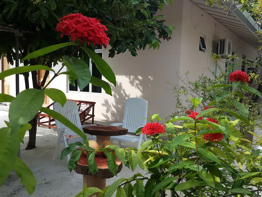 Summer Home Kelaa photo 4