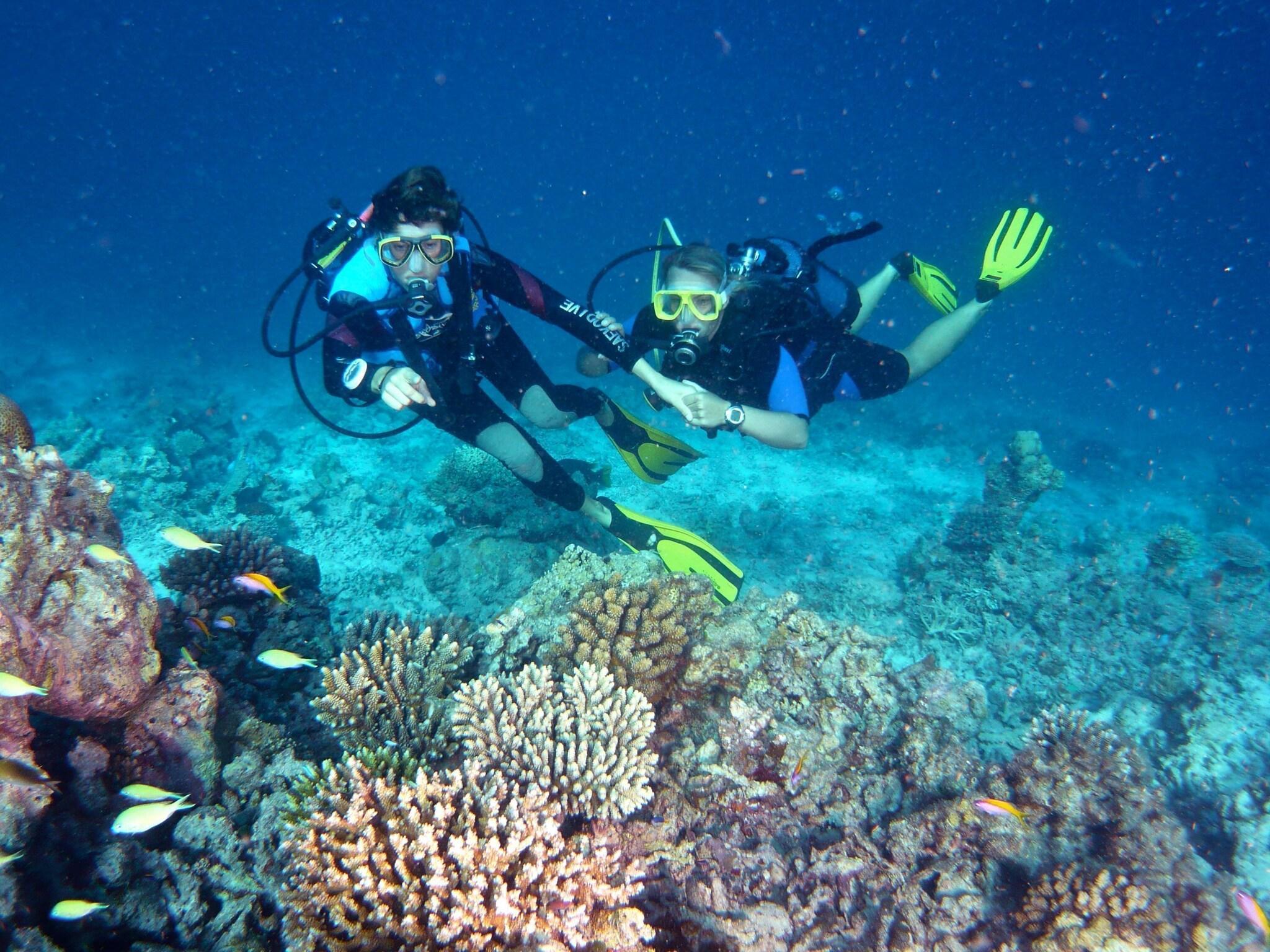 Canareef Resort Maldives