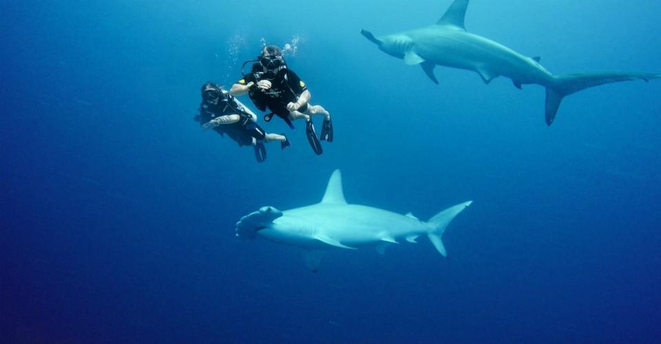 Veligandu Dive Centre