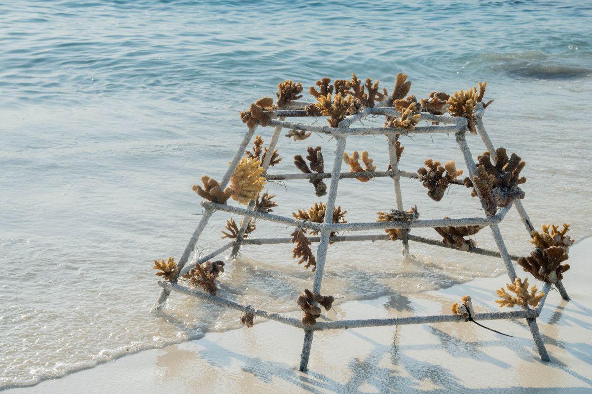 Kuda Villingili Resort Maldives