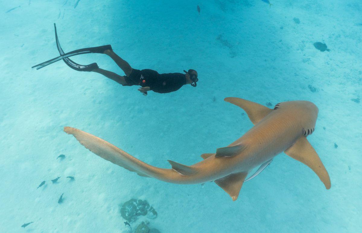 InterContinental Maldives Maamunagau Resort by IHG
