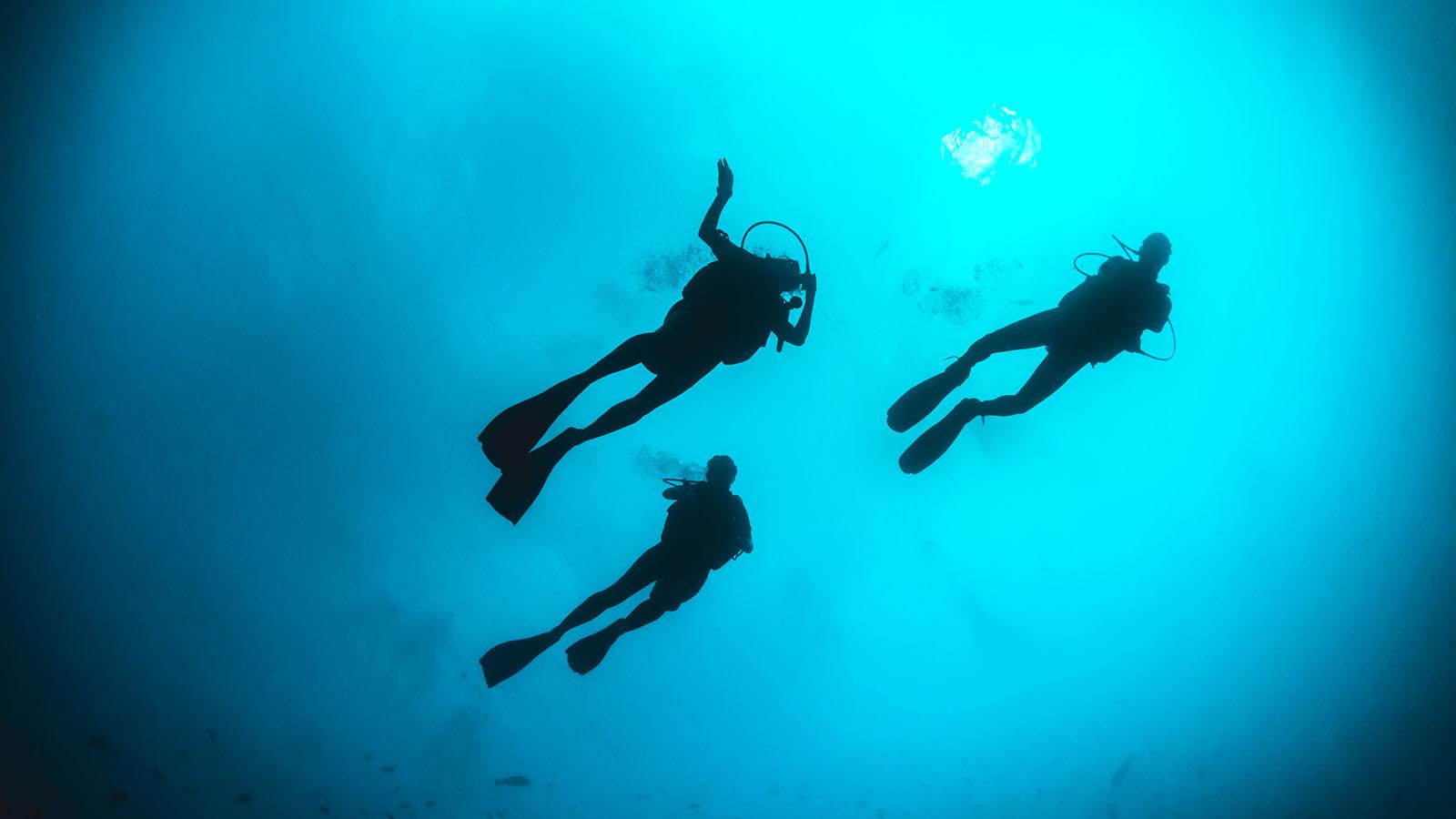 PADI Scuba Review