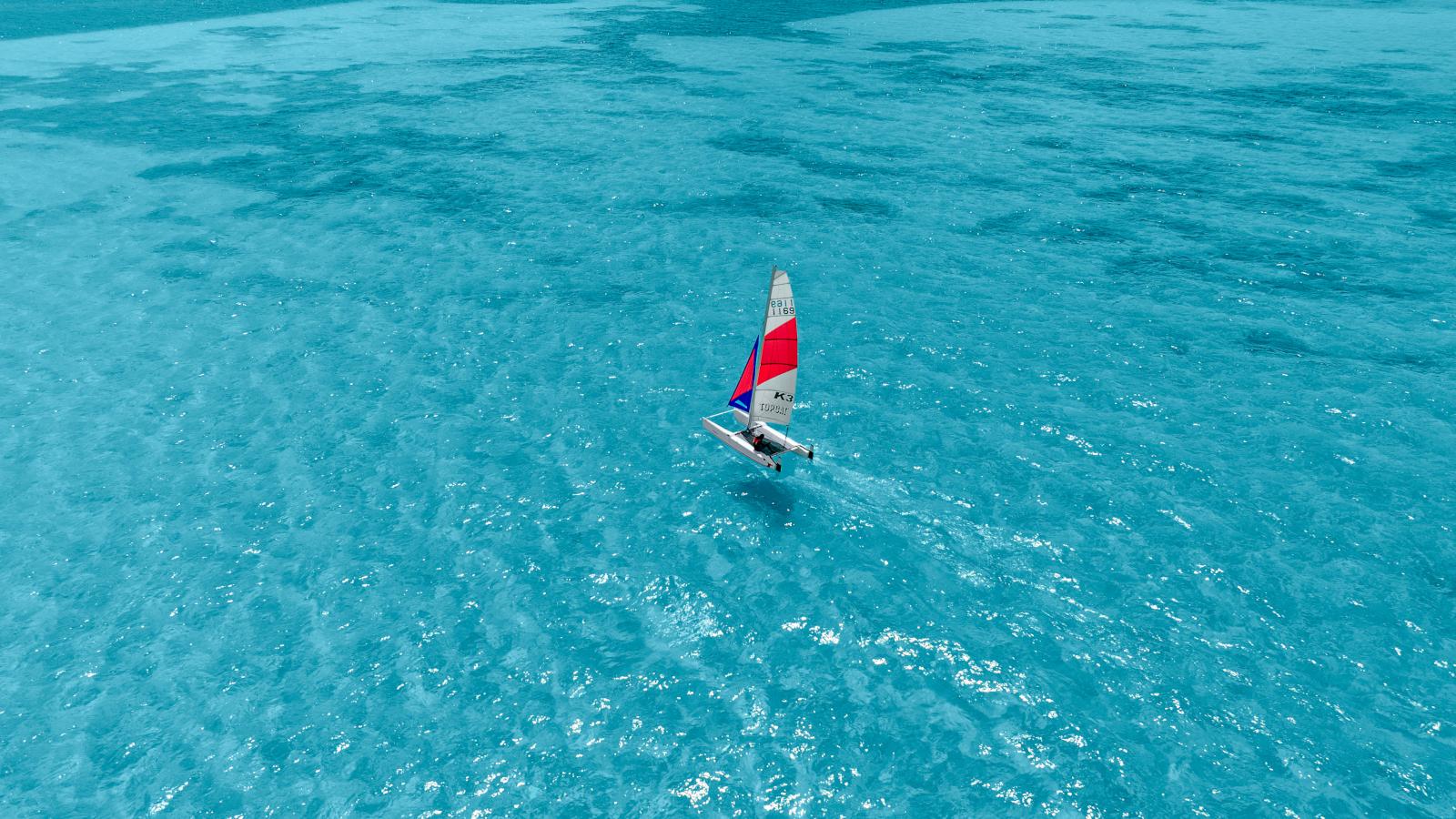 Catamaran Excursions
