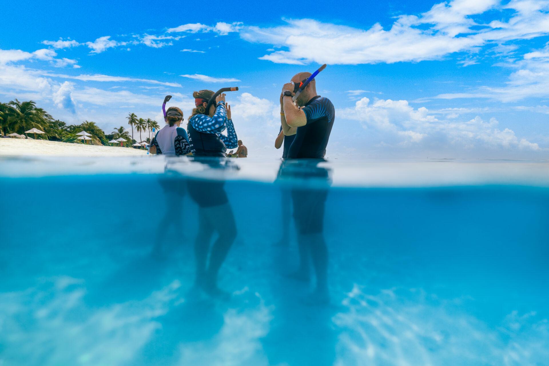 Snorkel Intro