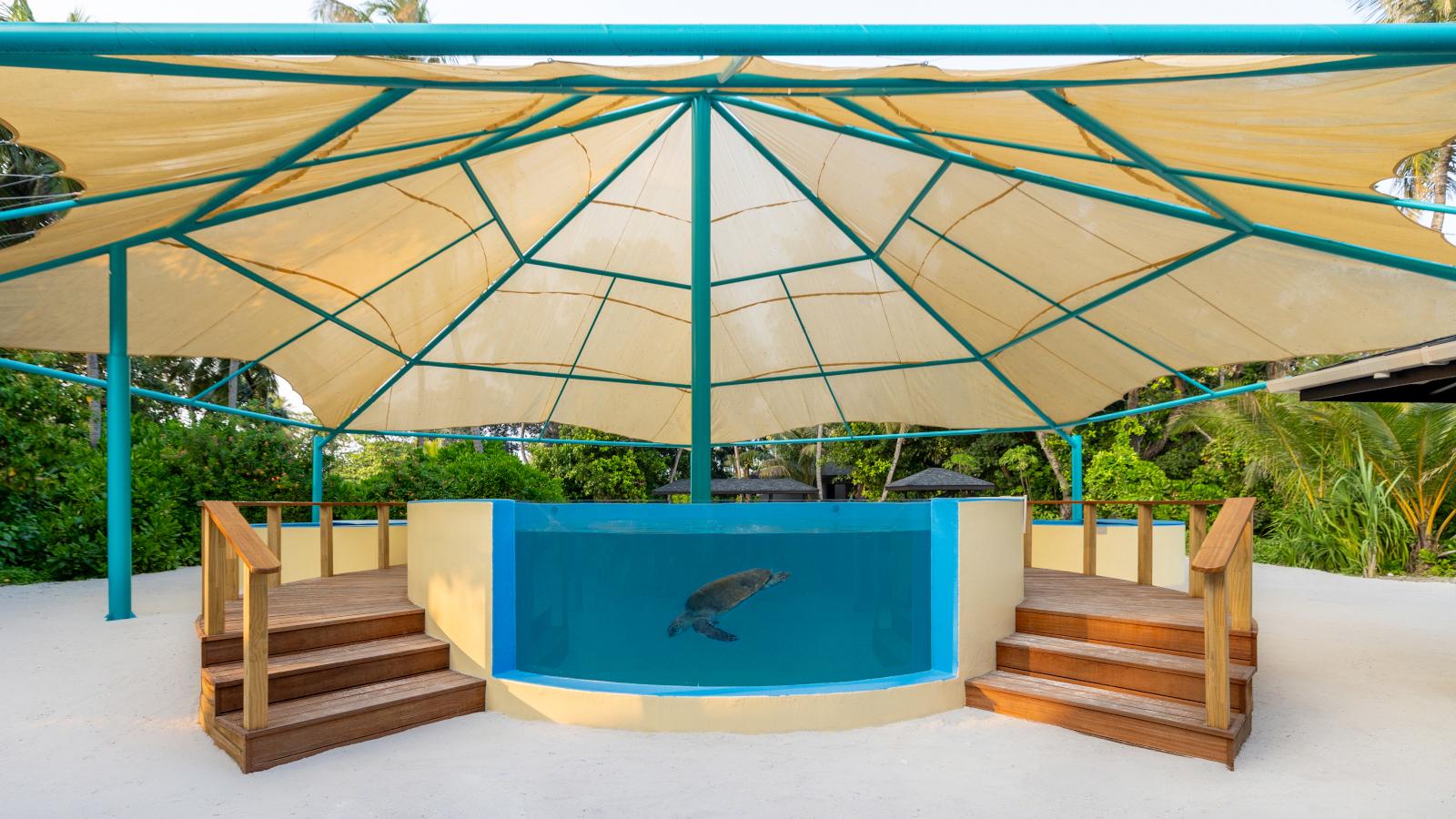 Sea Turtle Health Institute Tour