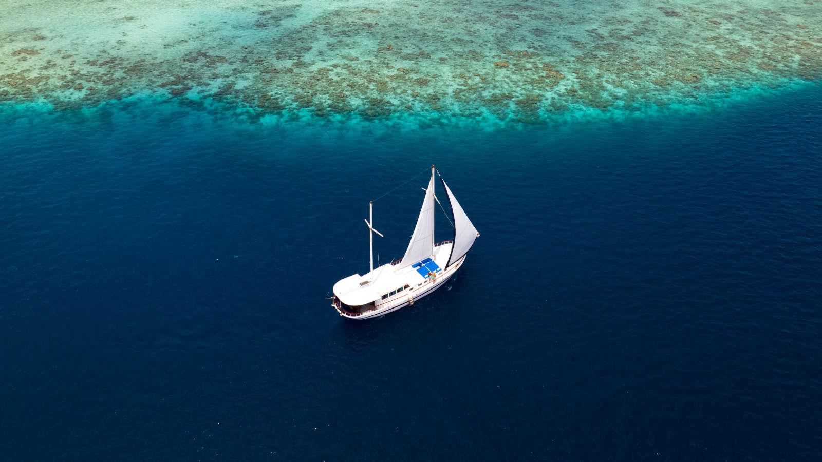 Full Day Sailing on Britt