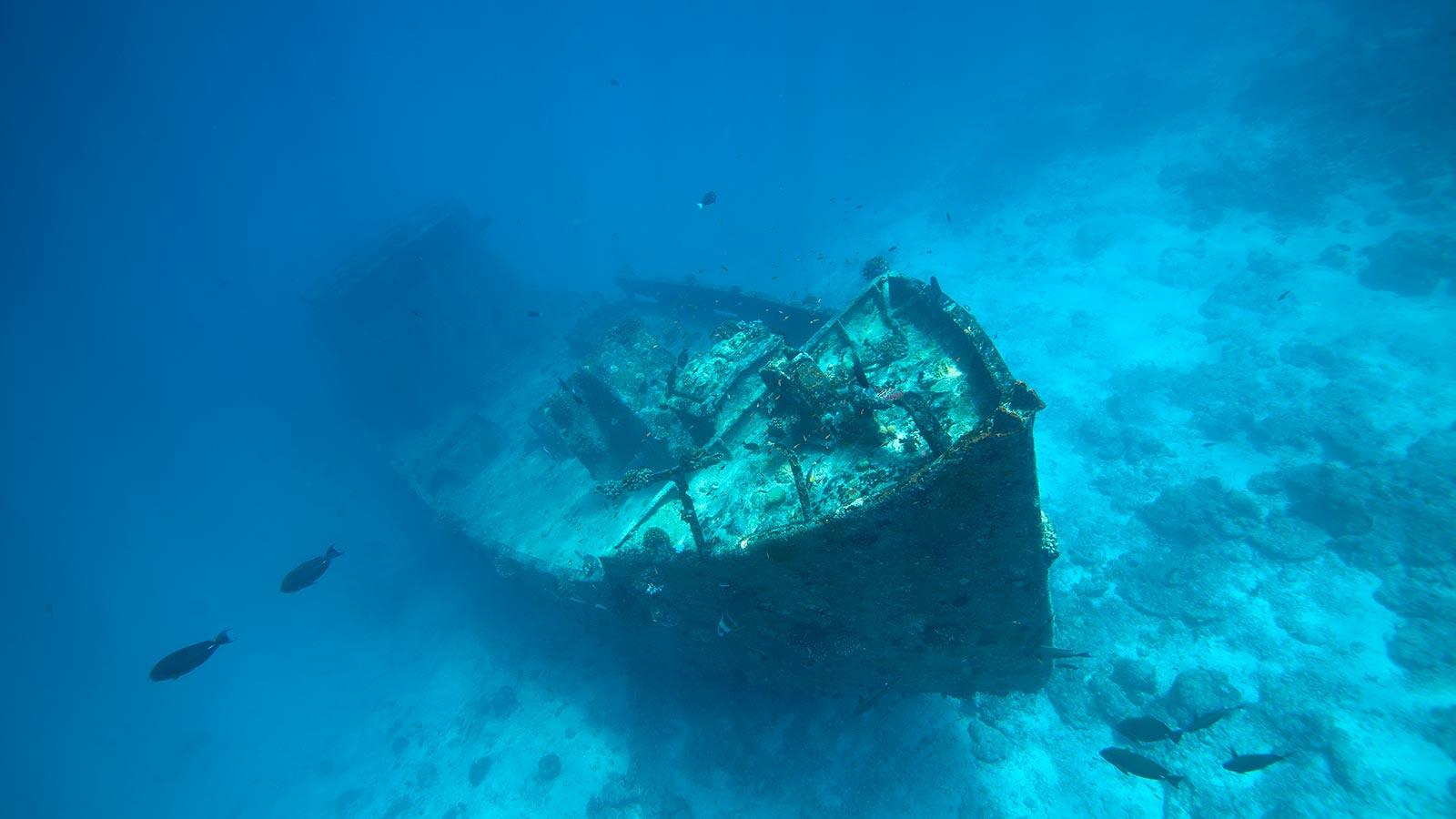 PRODIVERS House Reef Tour