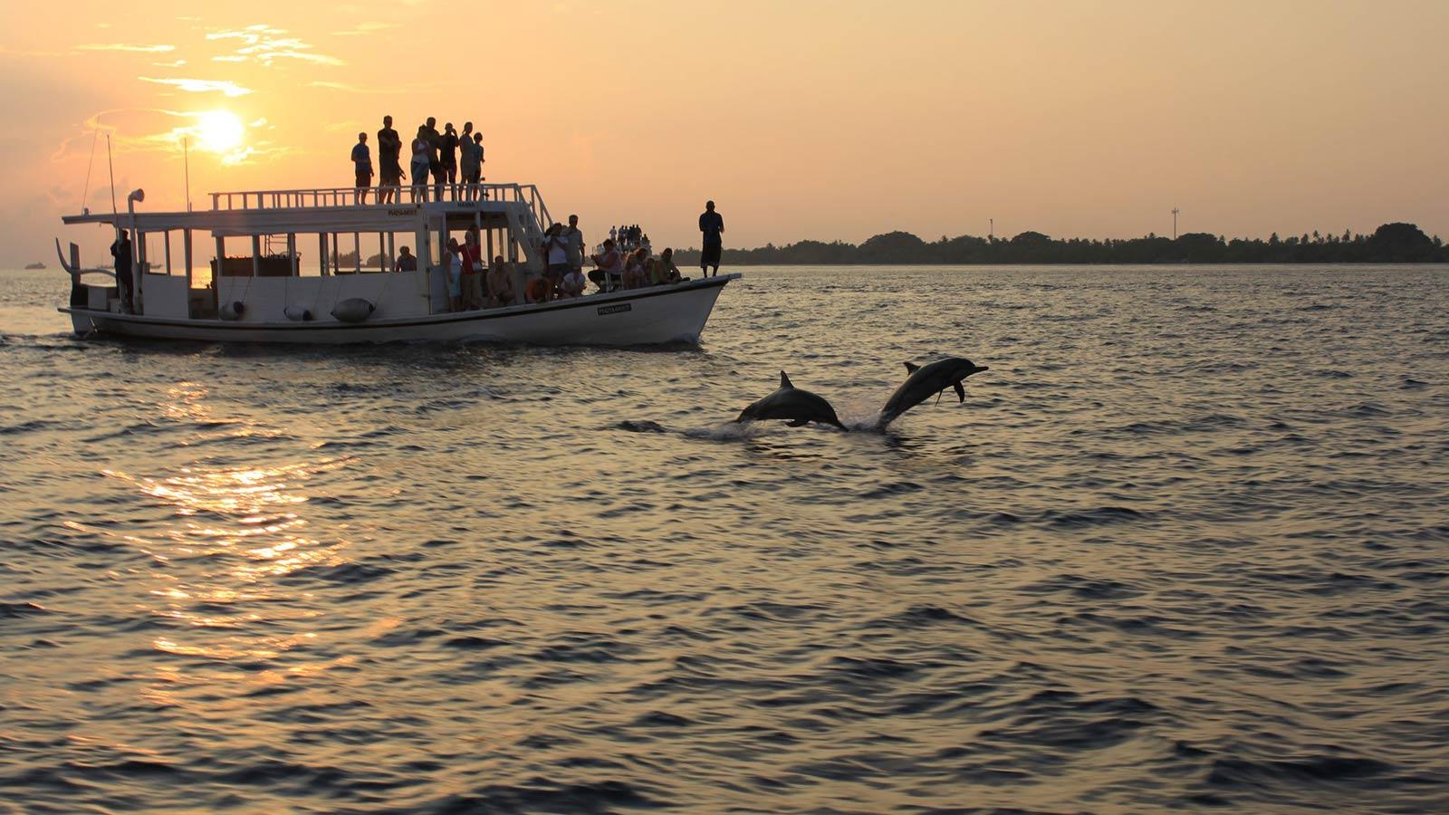 Sunset Cruise
