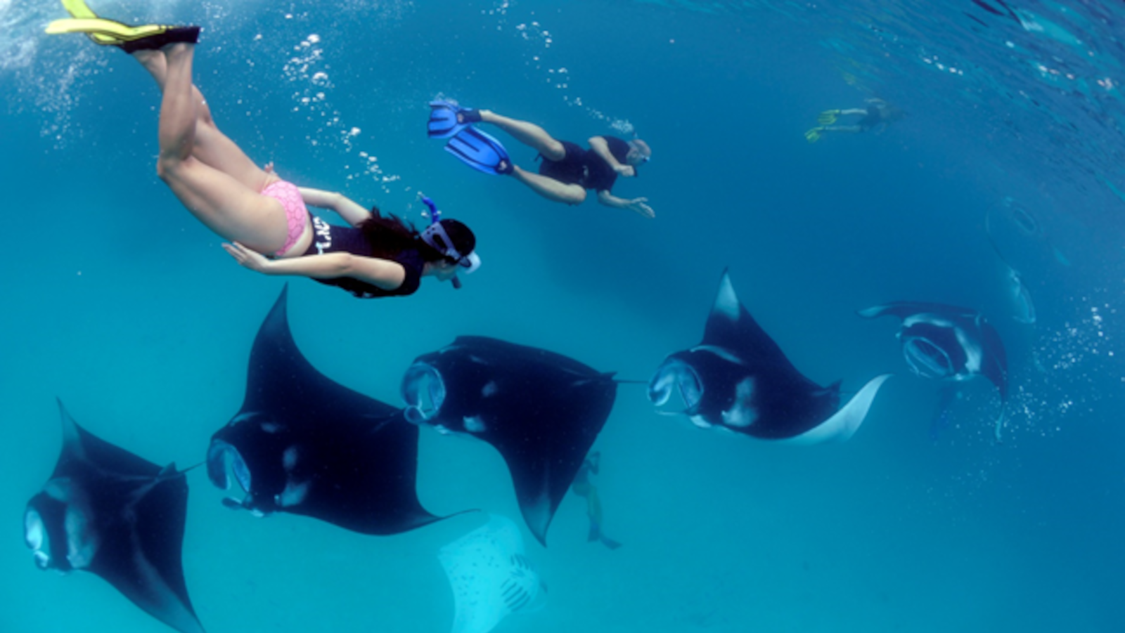 Champa Romantic Island