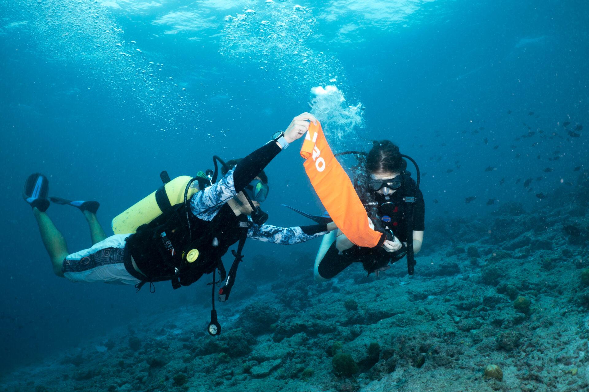 PADI Tune Up