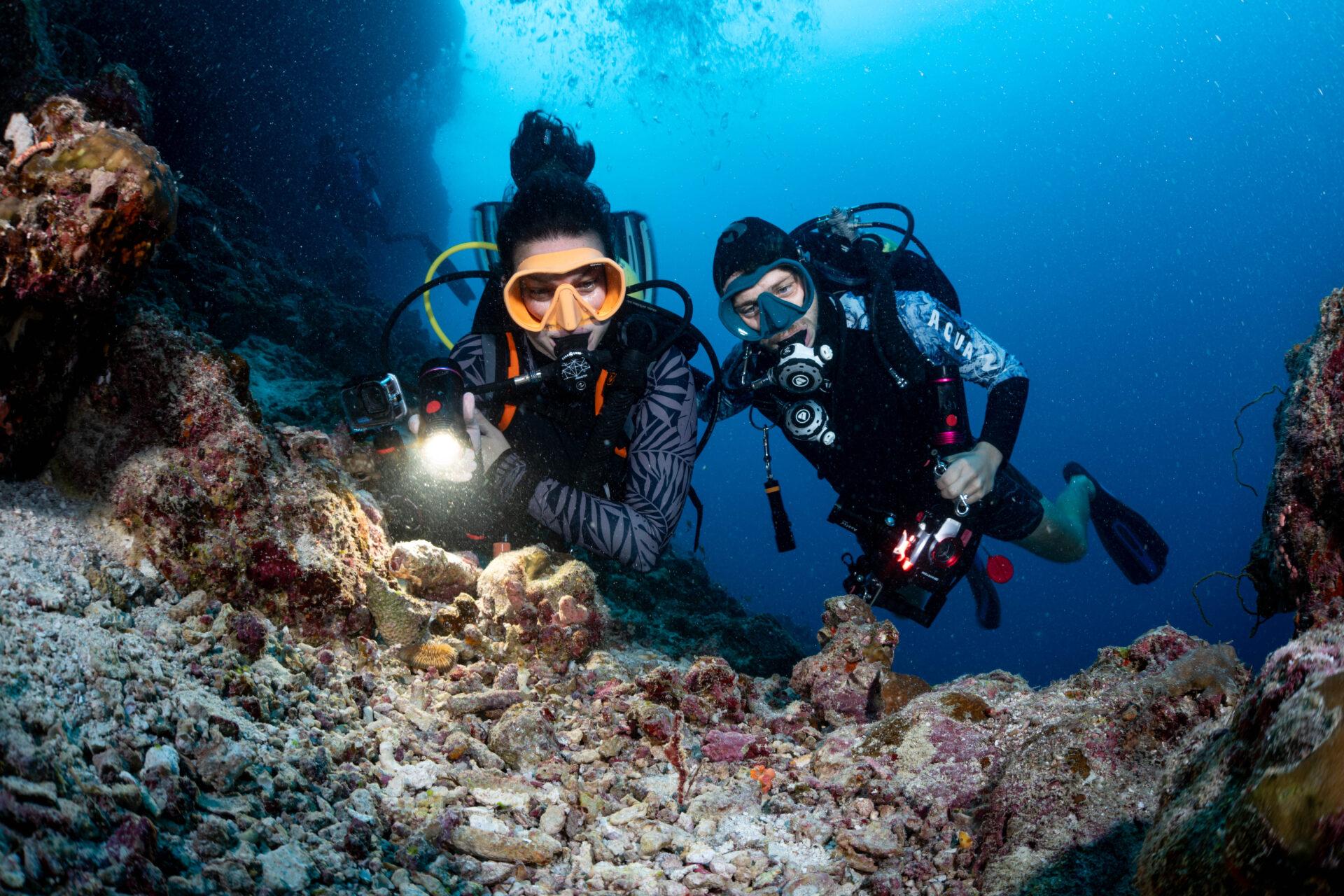 Night Dive by Boat