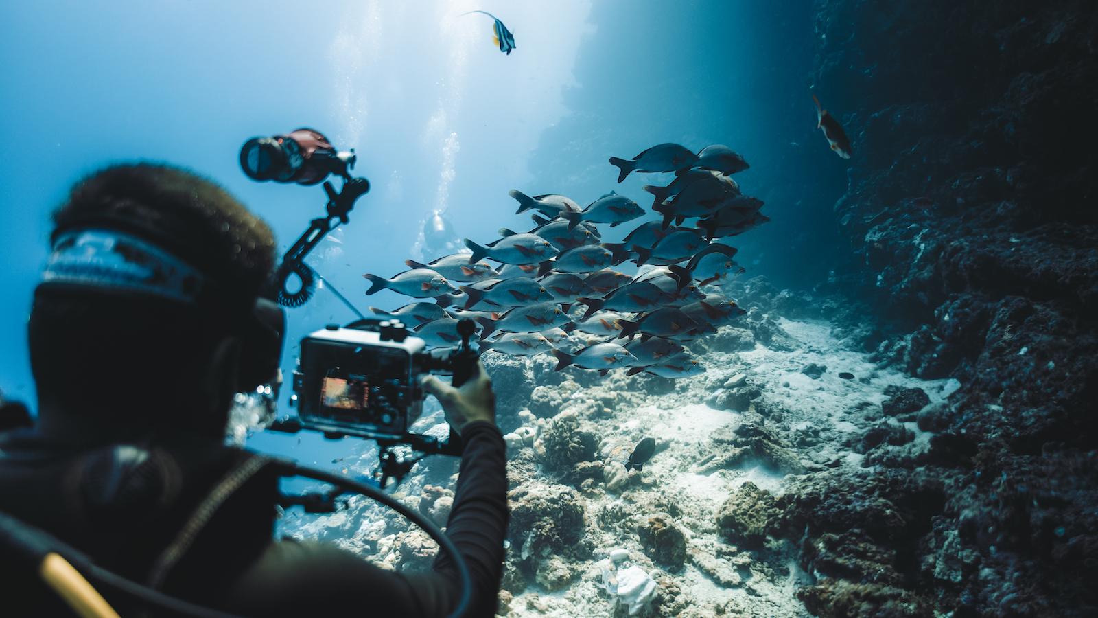 PADI Specialty Courses