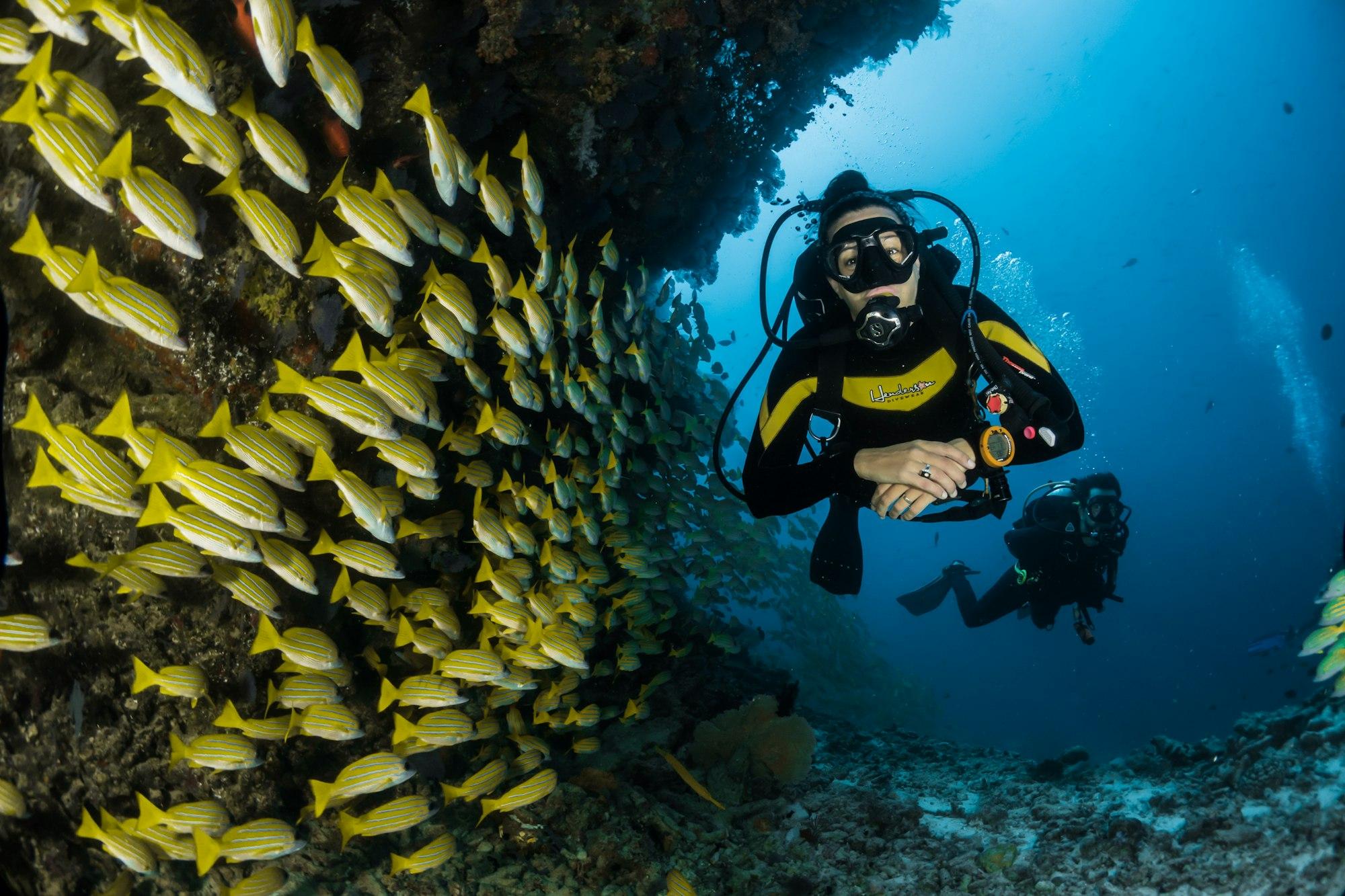 Scuba diver beside a reef and a school of tropical fish — diving in the Maldives