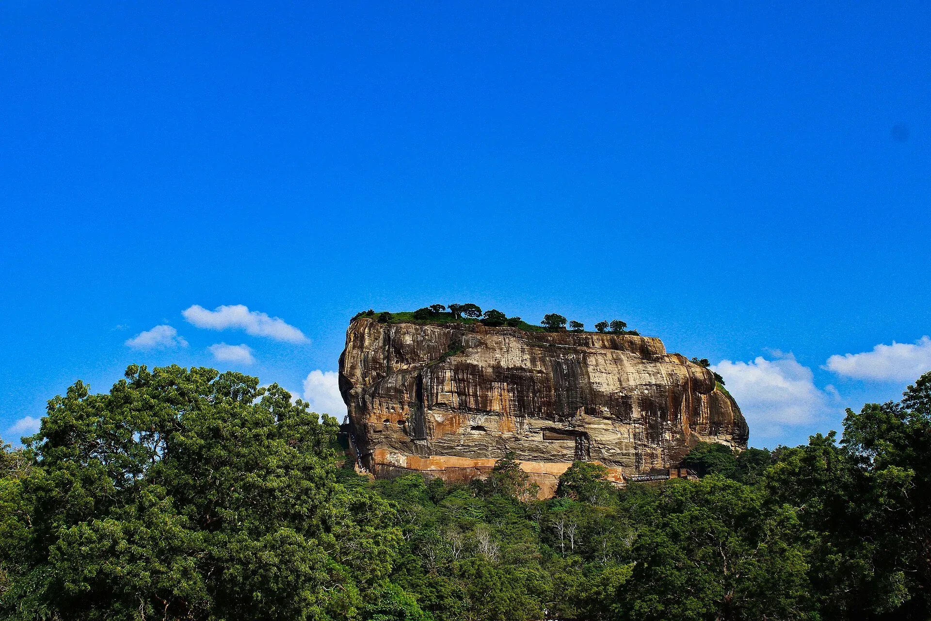 Sigiriya rock rising above the surrounding trees