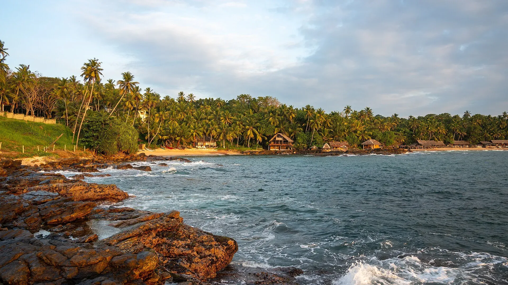 Rocky coast and palms at Tangalle