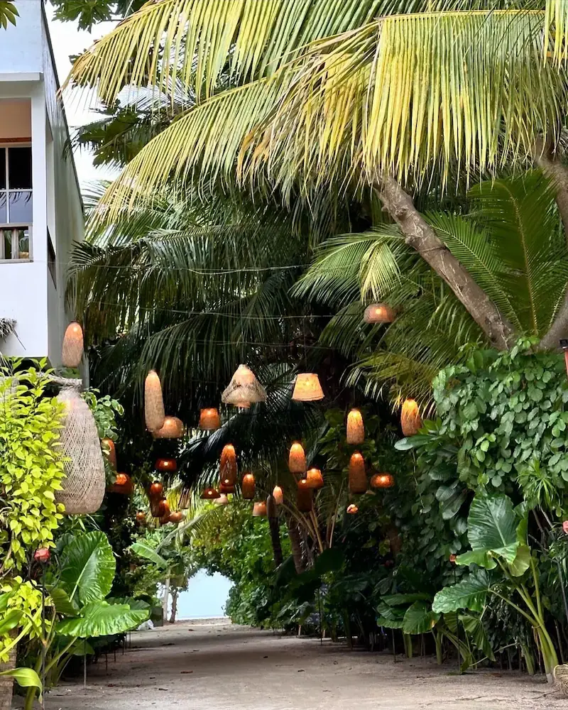 ODI KAMADHOO