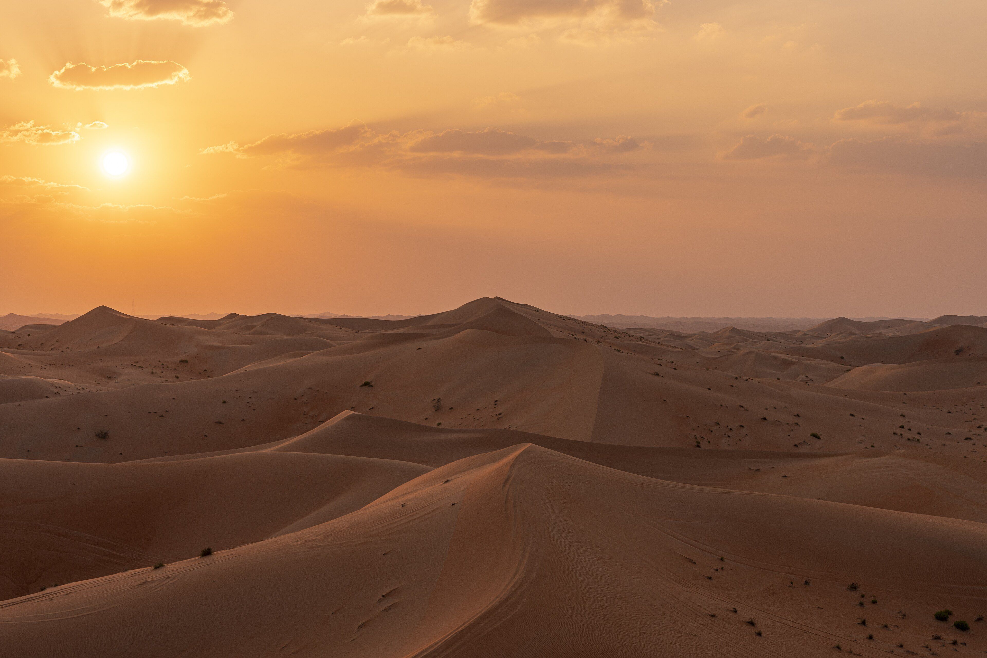 Dune field under a low sun on the northern edge of the Rub al Khali.
