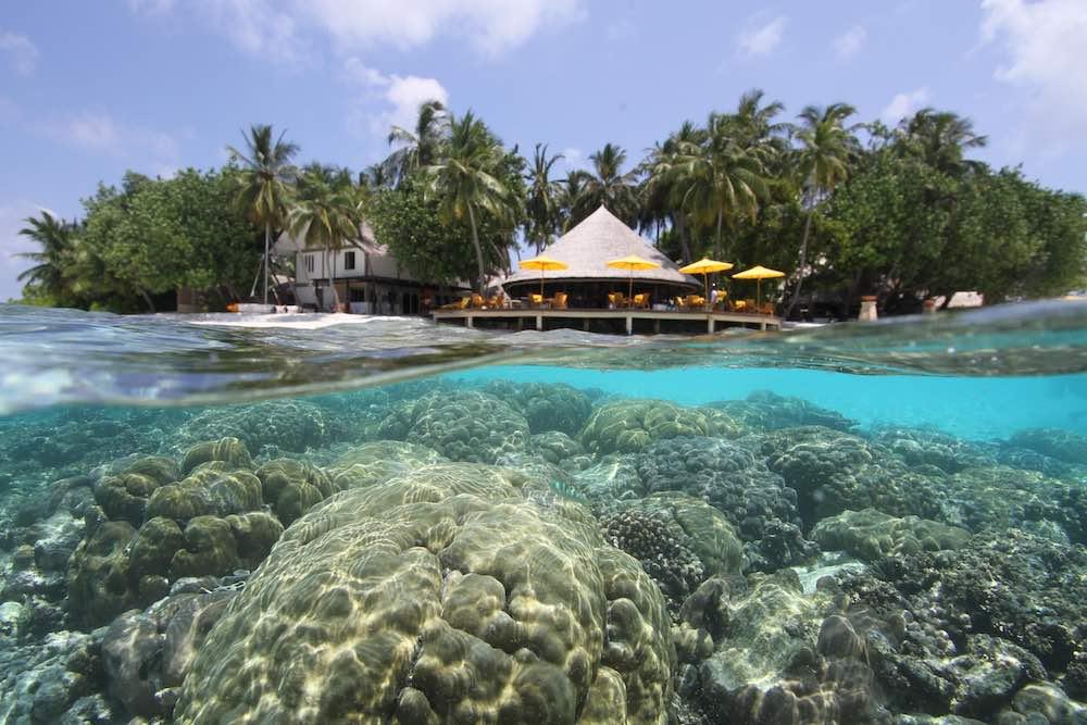 Beachfront Jet Pool Villa at Dhawa Ihuru, view 3