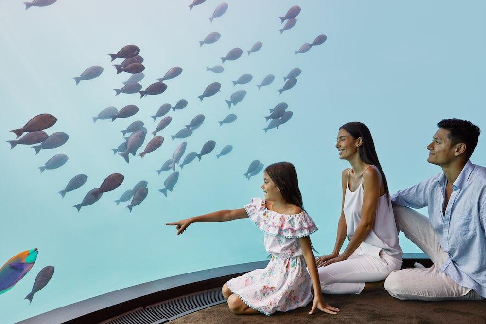 The Muraka at Conrad Maldives Rangali Island, view 12