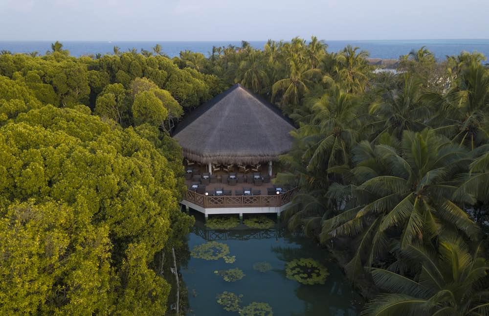 Lake View Bar