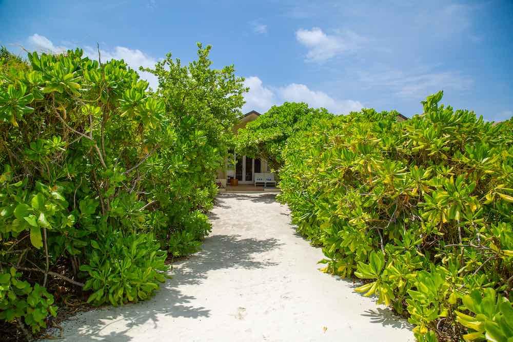 Deluxe Beach Bungalow