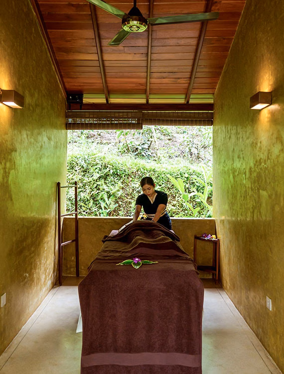 Inside Aarogya Wellness Centre & Spa at Aarunya Nature Resort & Spa
