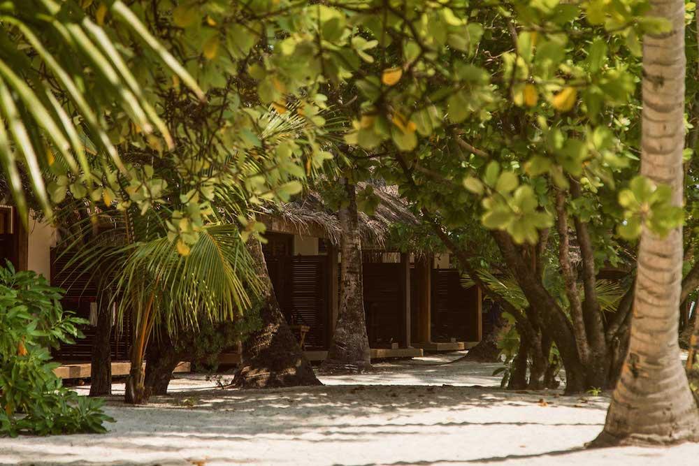 Beach Bungalow