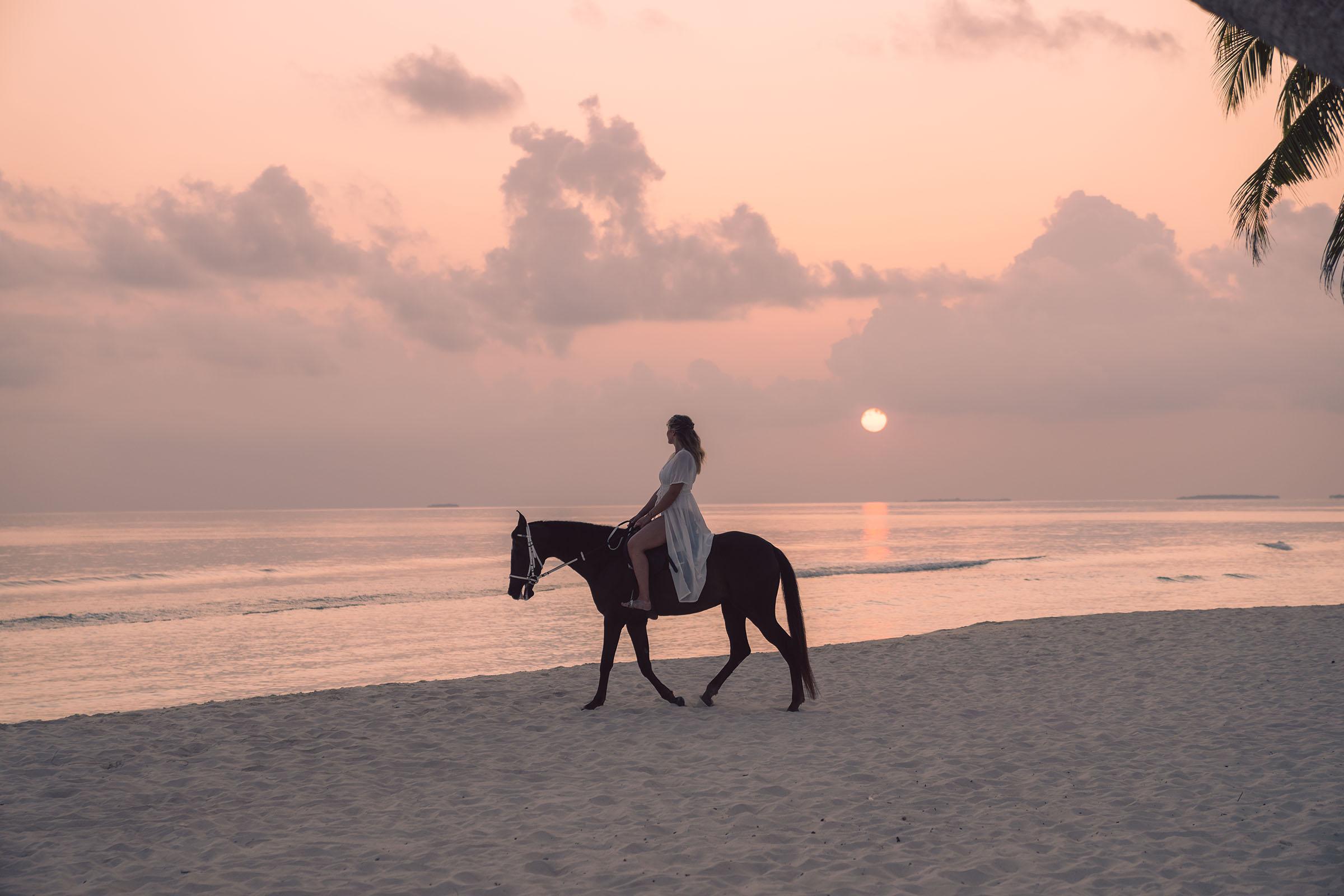 Horse Ranch