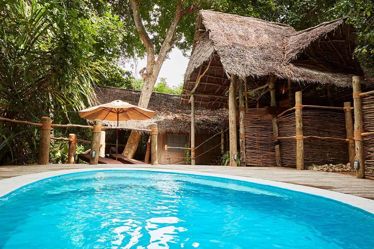 Jungle Suite