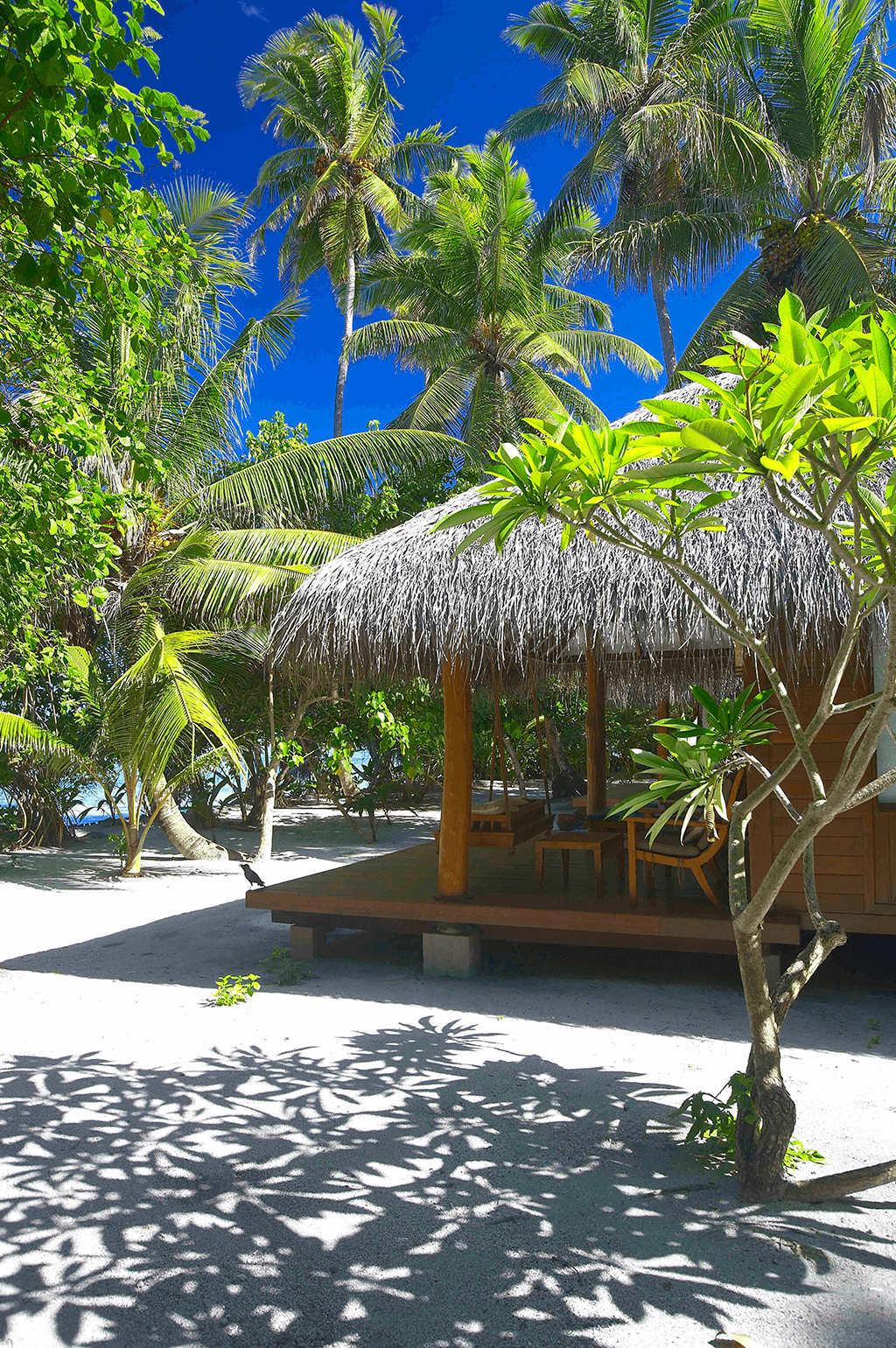 Beach Villa at Medhufushi Island Resort, view 11