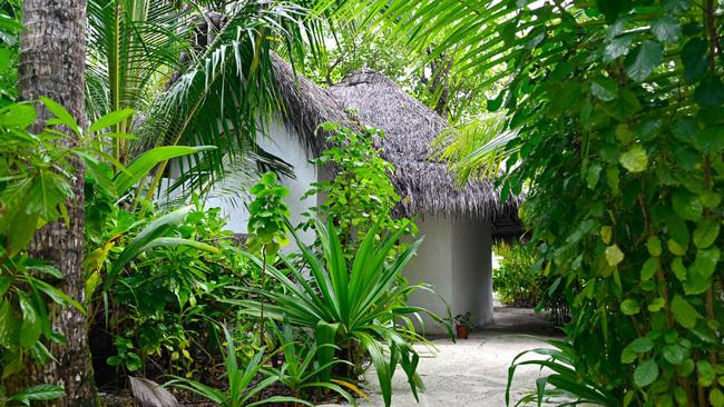 Beach Bungalow