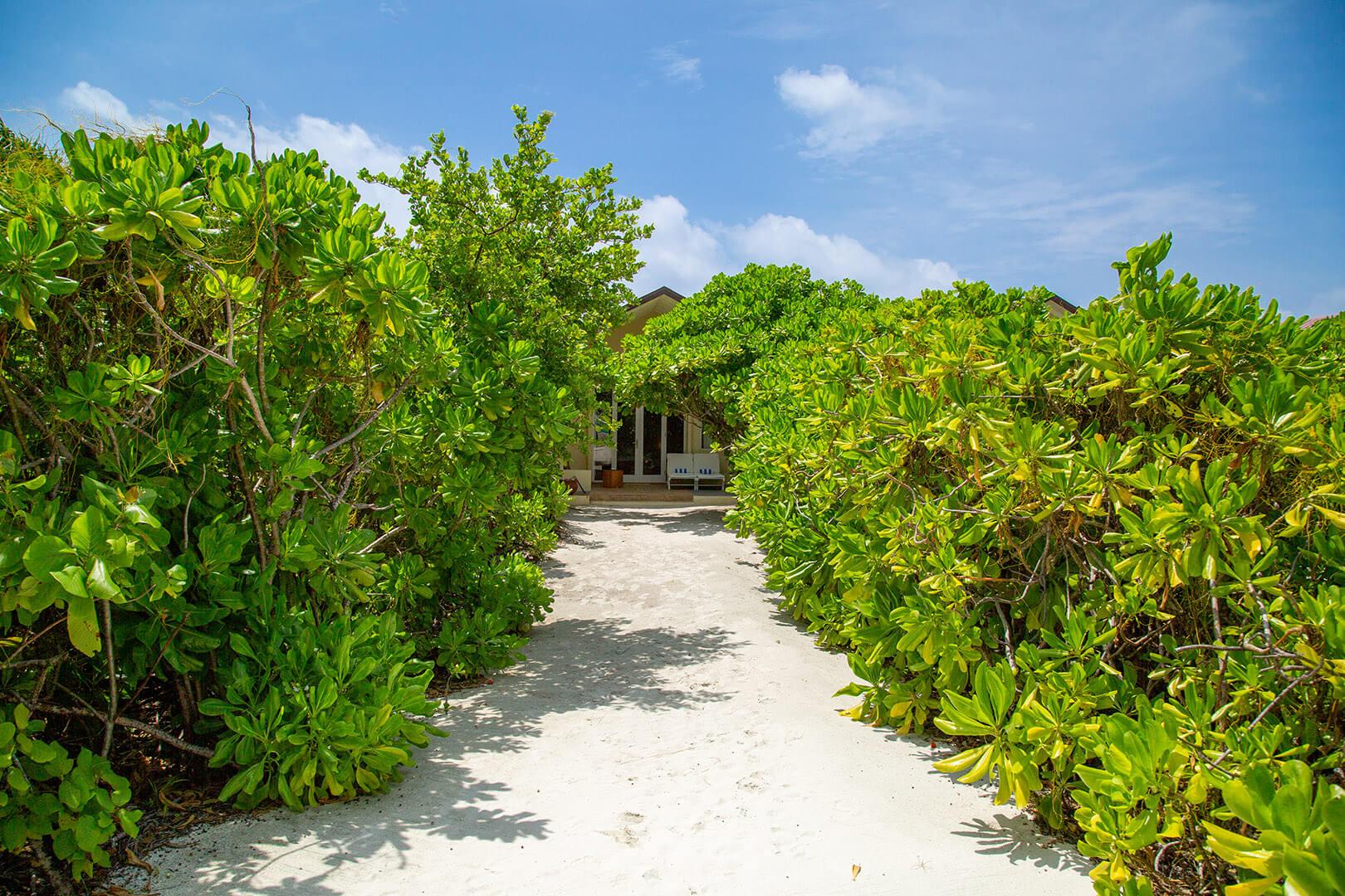 Deluxe Beach Bungalow at Hondaafushi Island Resort, view 5