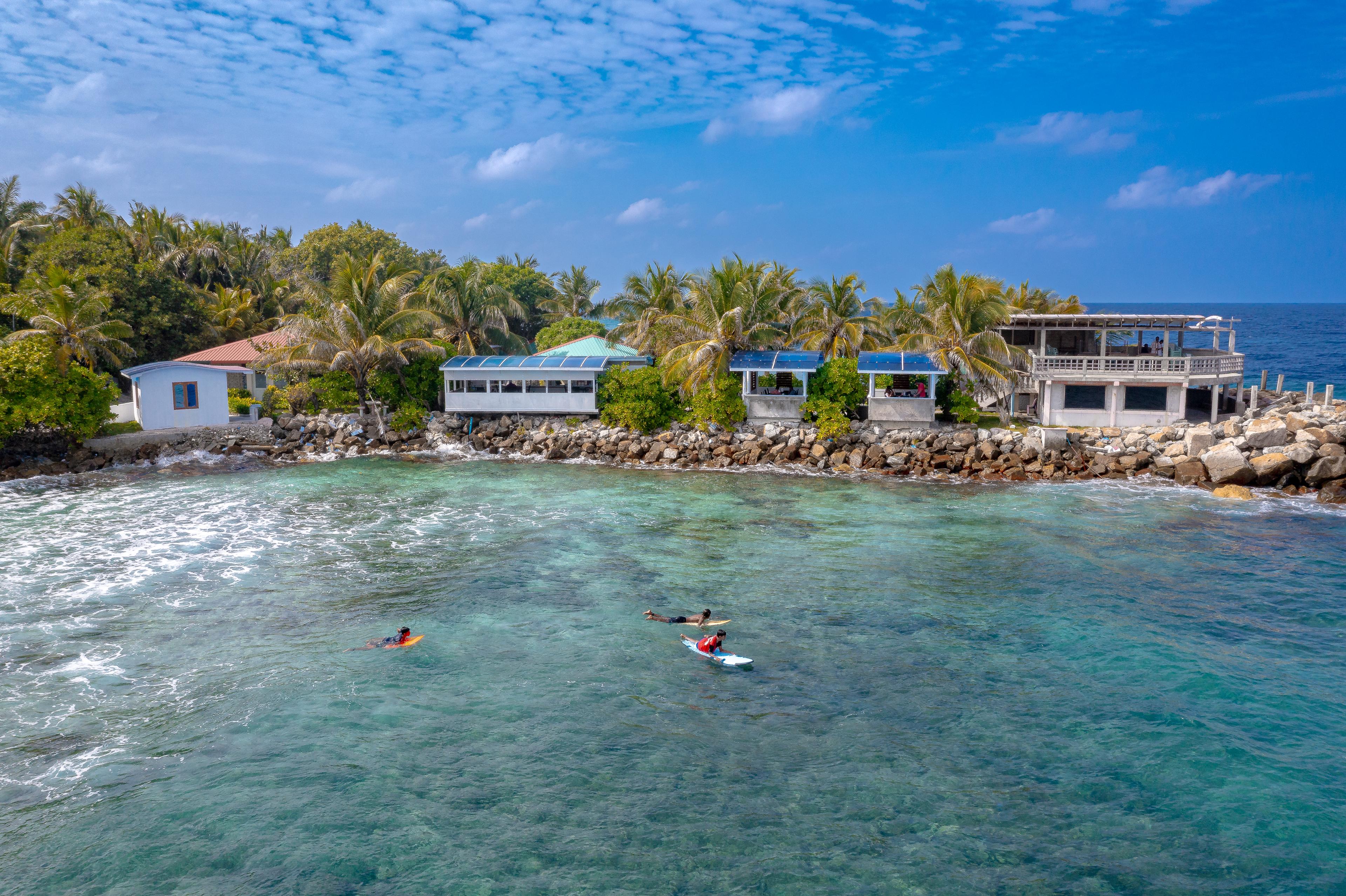 Tiger Zoo / Tiger Harbour