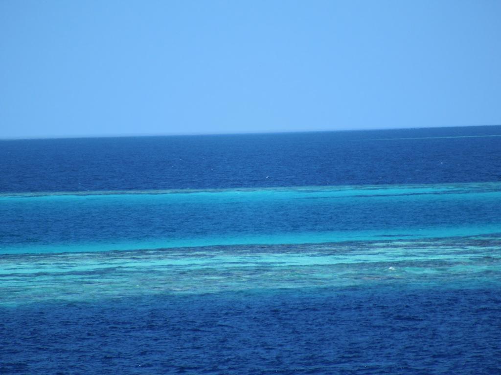 Mantas and More