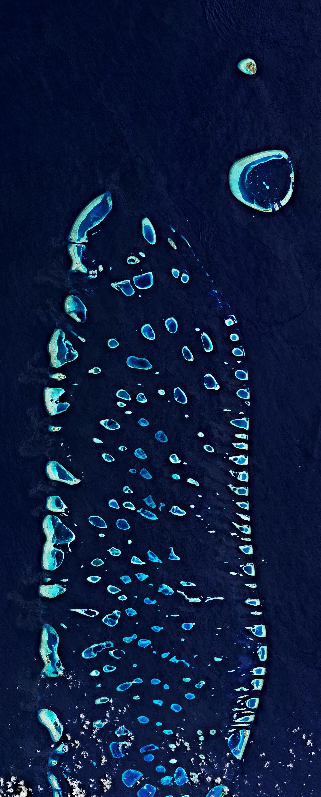 Ari Atoll, Maldives — satellite view showing the archipelago's low-lying coral rings