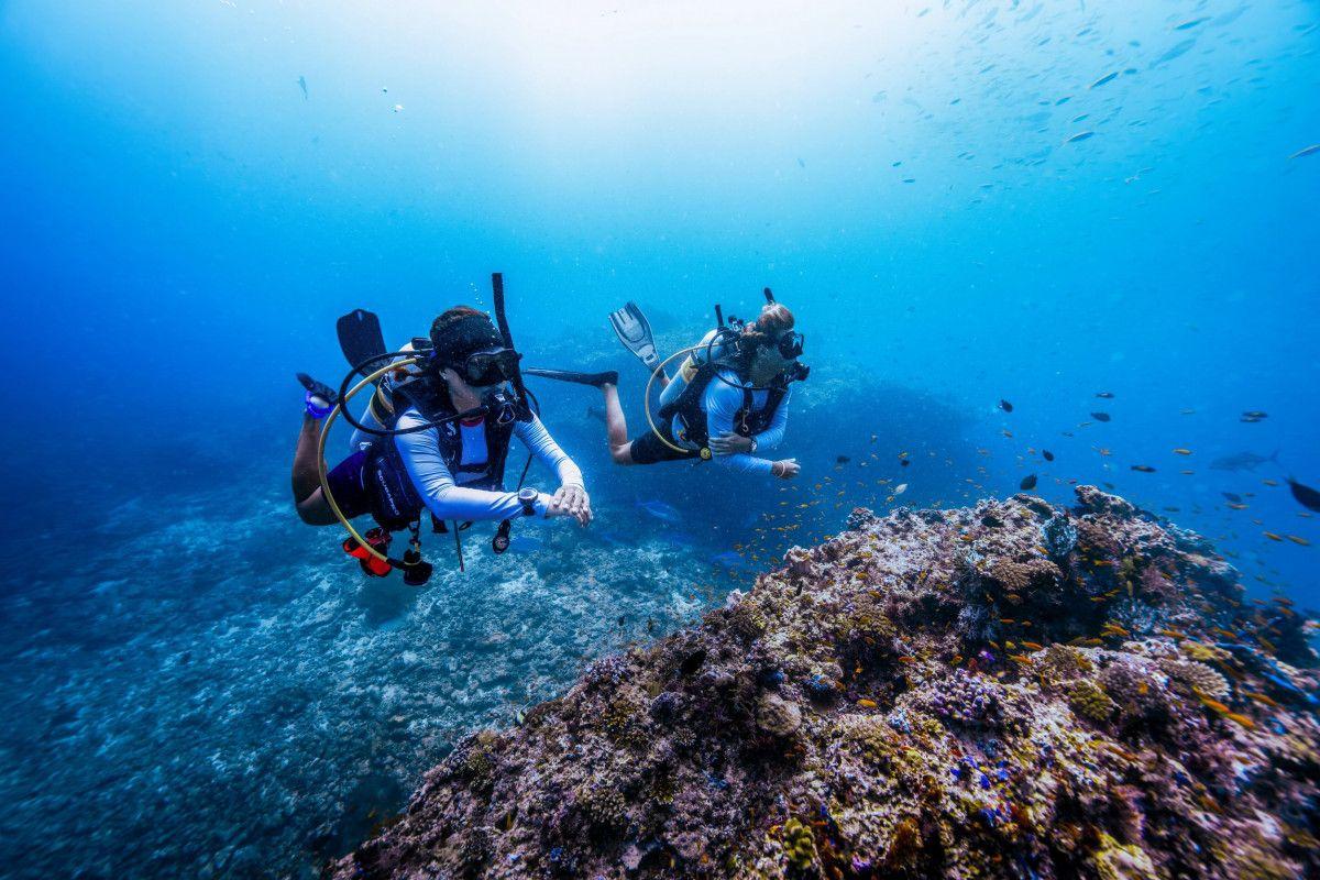 Nova Maldives