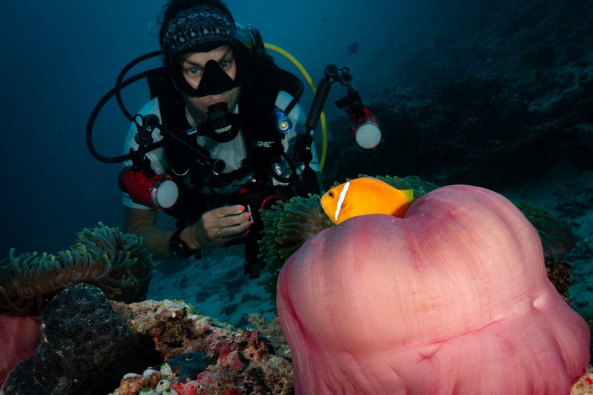 Coco Bodu Hithi